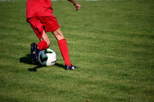 -中国青少年篮球运动员伤病防控体系建设，青少年篮球训练现状分析