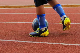 AC米兰-中国青少年篮球运动员体能素质发展规律，我国篮球青少年运动发展现状