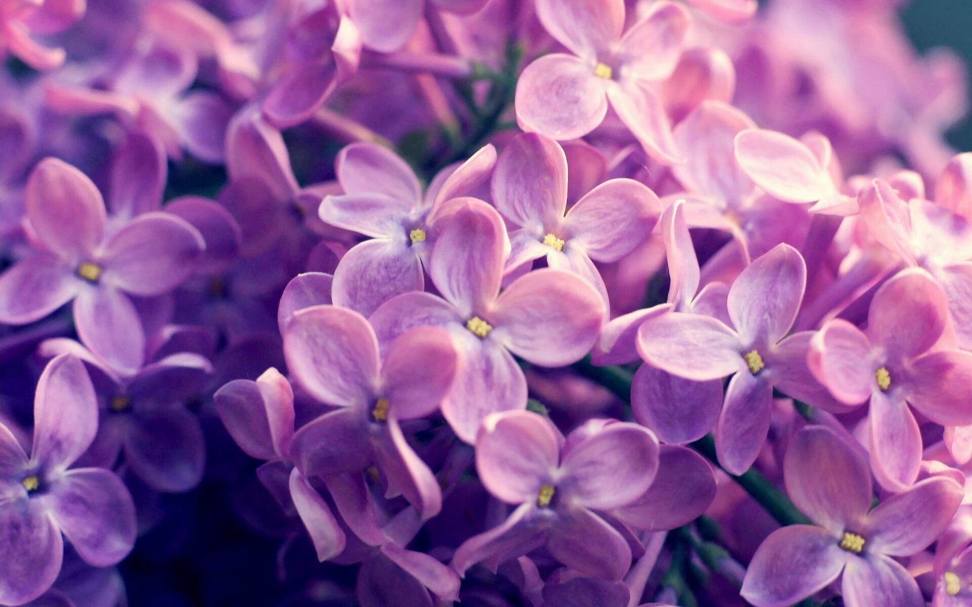 谷爱凌入选年度十大新锐体育人物榜,谷爱凌国家体育总局