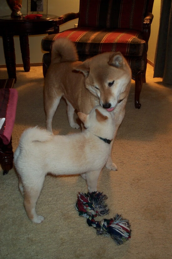 一句话激怒教师,家长言语引发辞职风波,家长怒怼老师经典语录