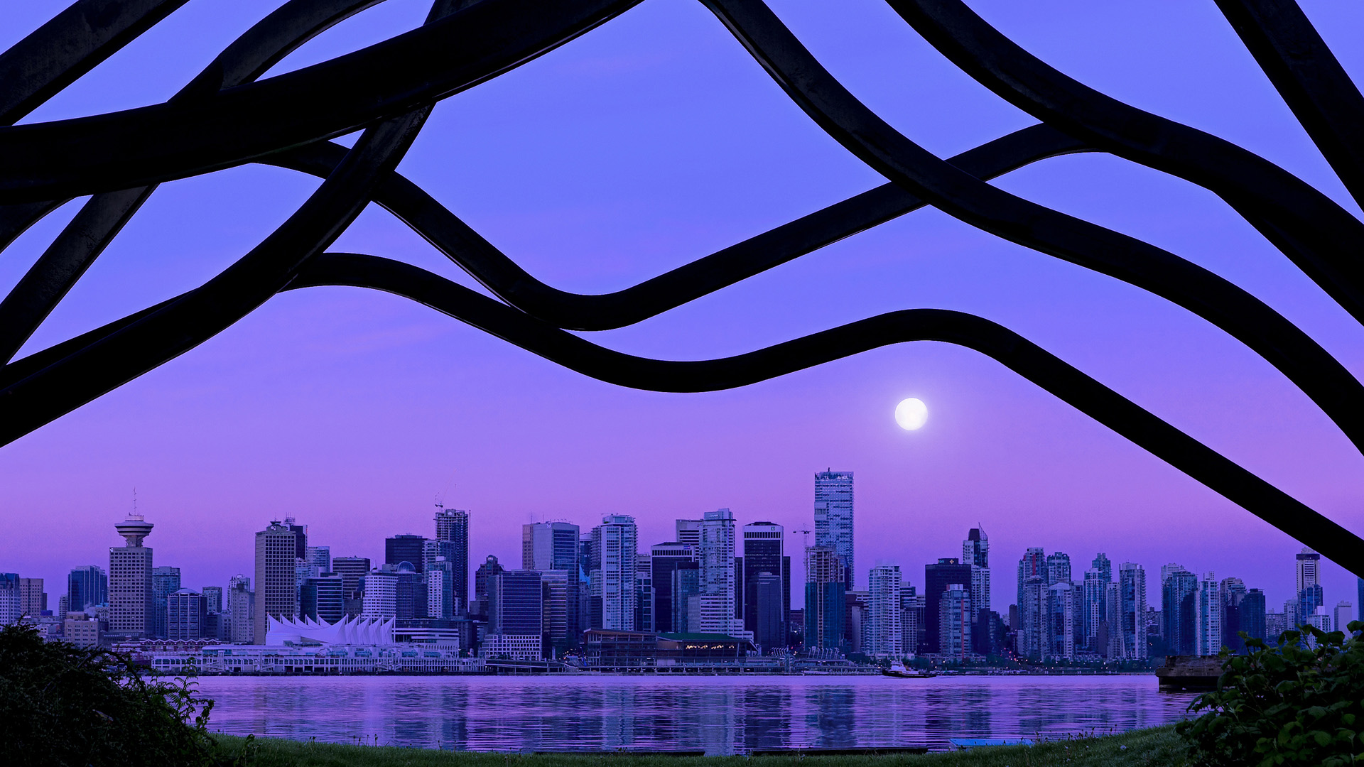 中国足球女足球员身体素质与技能比例比较,中国女足球员身高