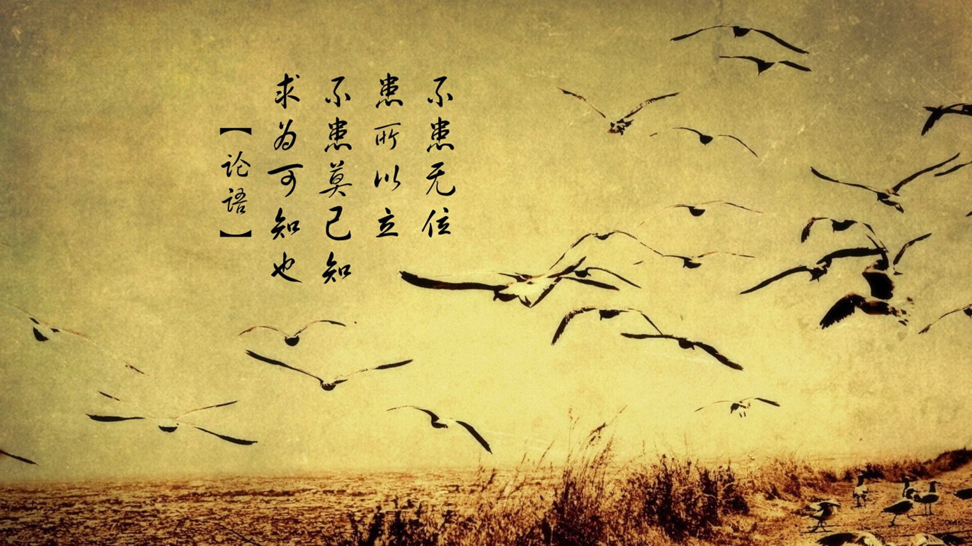 主动投案能从轻处理吗?看法律怎么说,主动投案量刑吗