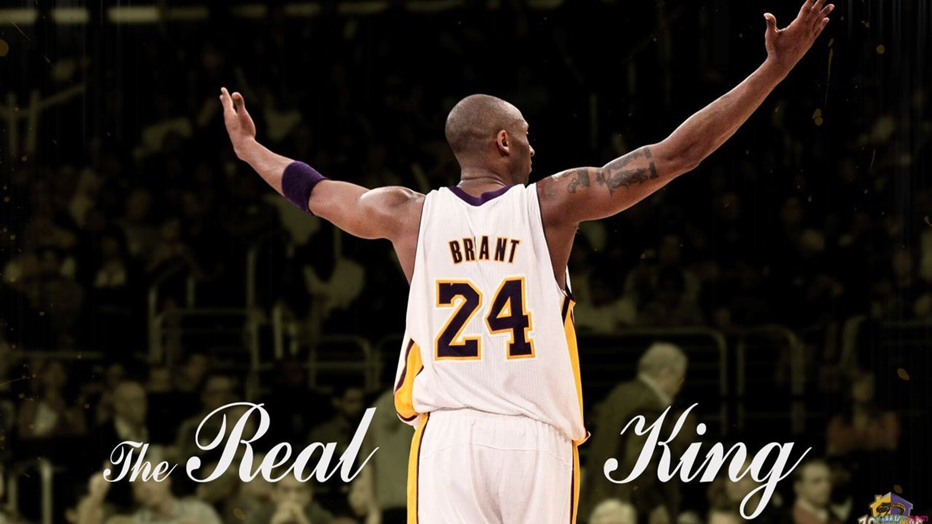 五大联赛伤停名单牵动千万球迷神经,五大联赛球星排名