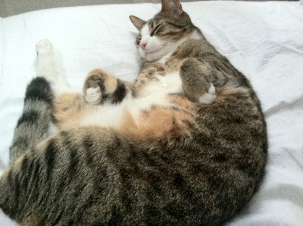 五大联赛比赛中传球线路选择决定攻防效率，传球技术在比赛中主要有几种