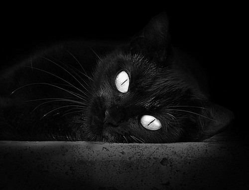 人民币国际化加速,数字引擎点燃上海枢纽地位,人民币国际化将迎真正拐点