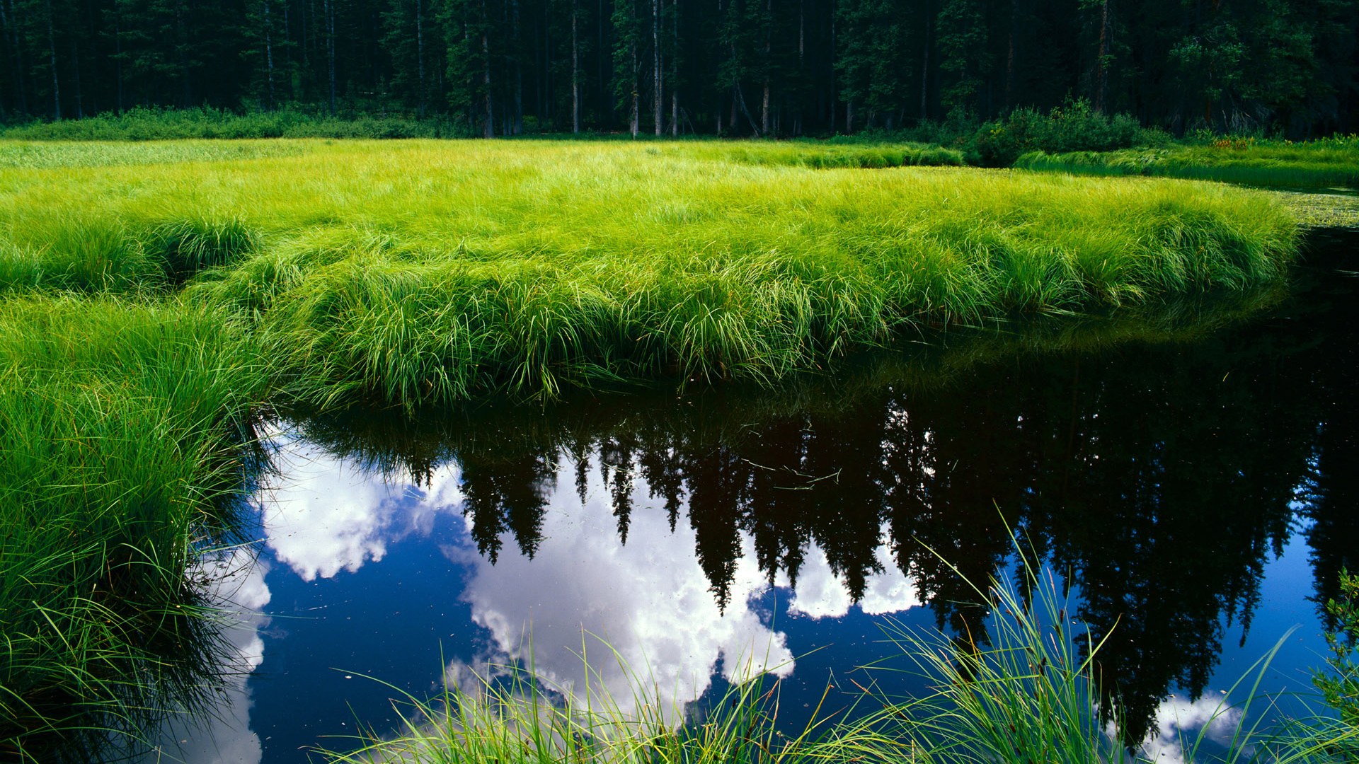 人民币国际化数字化转型,上海领先成为核心枢纽,人民币国际化路径